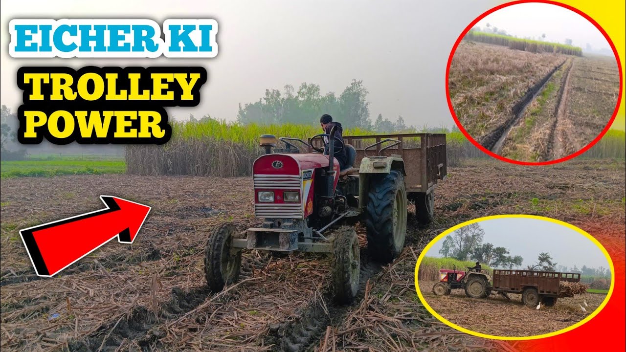 Farming on a mountain with Eicher 242 || 😦Will this tractor be able to climb it ?