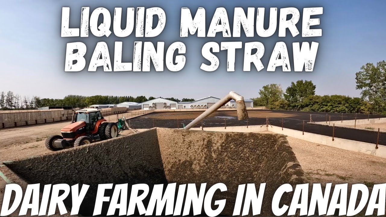 Baling an Iphone, Some Straw and hauling Liquid Manure!