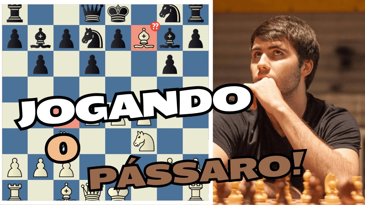 Jogando o passaro contra grandemestres!