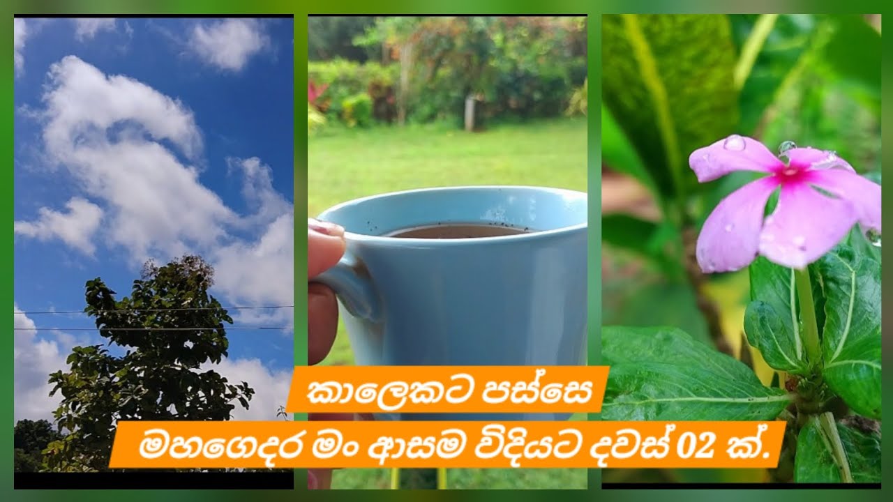 කෙනෙක්ට තමන් ආස එක දෙයක් හරි තියෙන්න ඕන🫶💫.මෙහෙම දවස්වලට මං ලෝභයි🌸🌺.#viralvideo#subscribe#vlooger