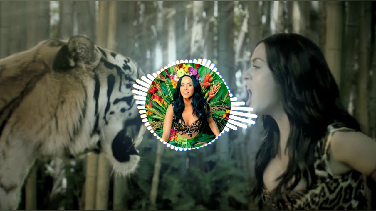 Katy perry - ROAR(remix)