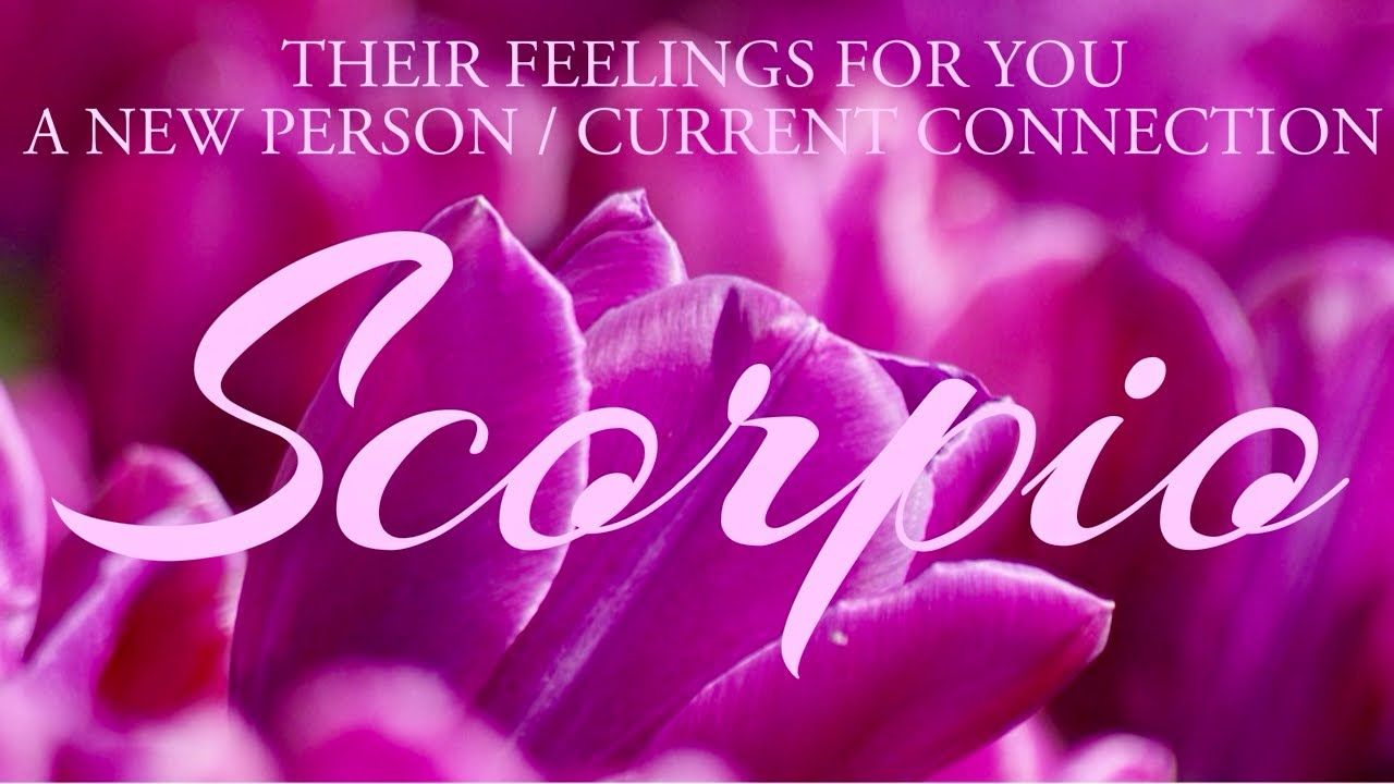 SCORPIO tarot love ♏️ There Is Someone Who Wants To Prove That They’re Telling The Truth Scorpio