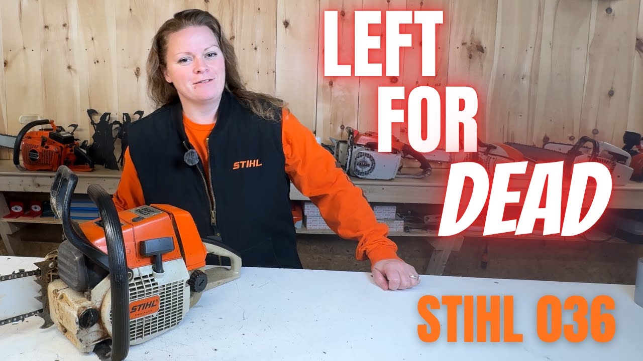 Брошенный и оставленный умирать | Бензопила Stihl 036