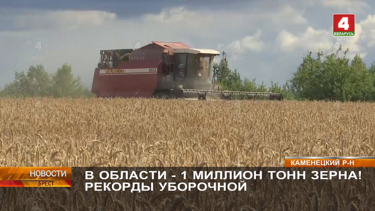 В ОБЛАСТИ - 1 МЛН ТОНН ЗЕРНА! РЕКОРДЫ УБОРОЧНОЙ