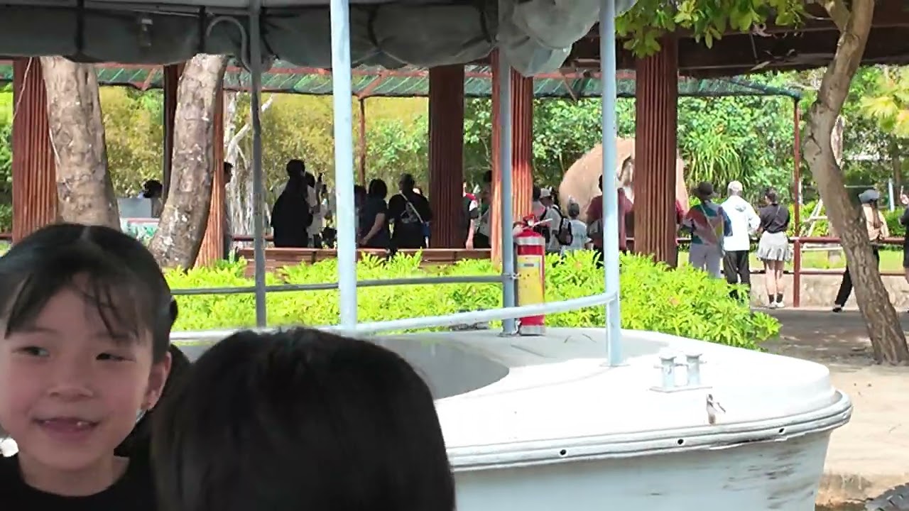 Safari Nam Hội An 2