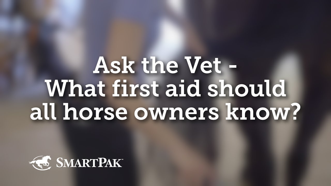 Ask the Vet - What first aid should all horse owners know?