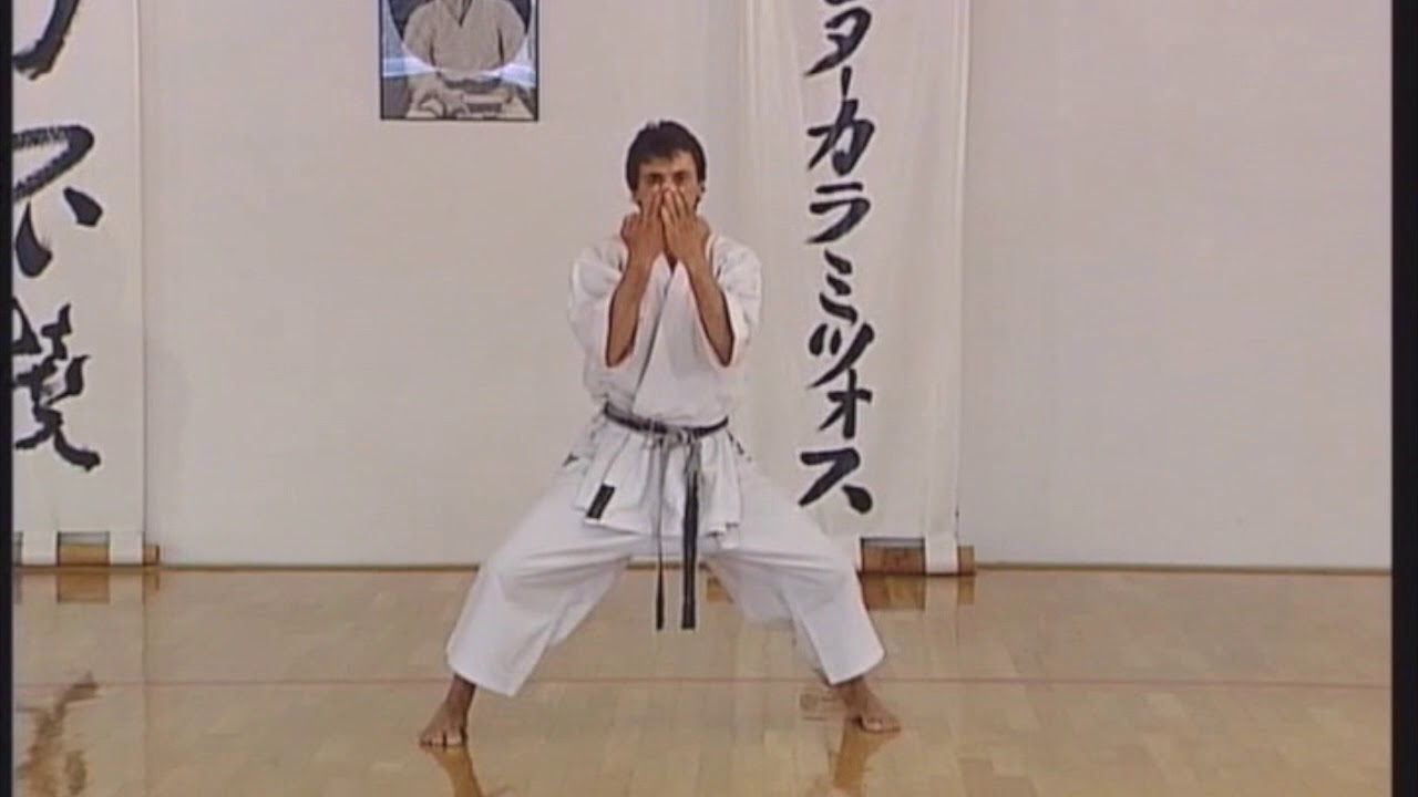 Shotokan - Meikyo