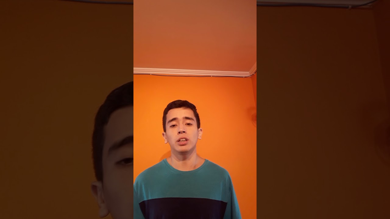 Felipe Alberto Vargas Moya INU311-17