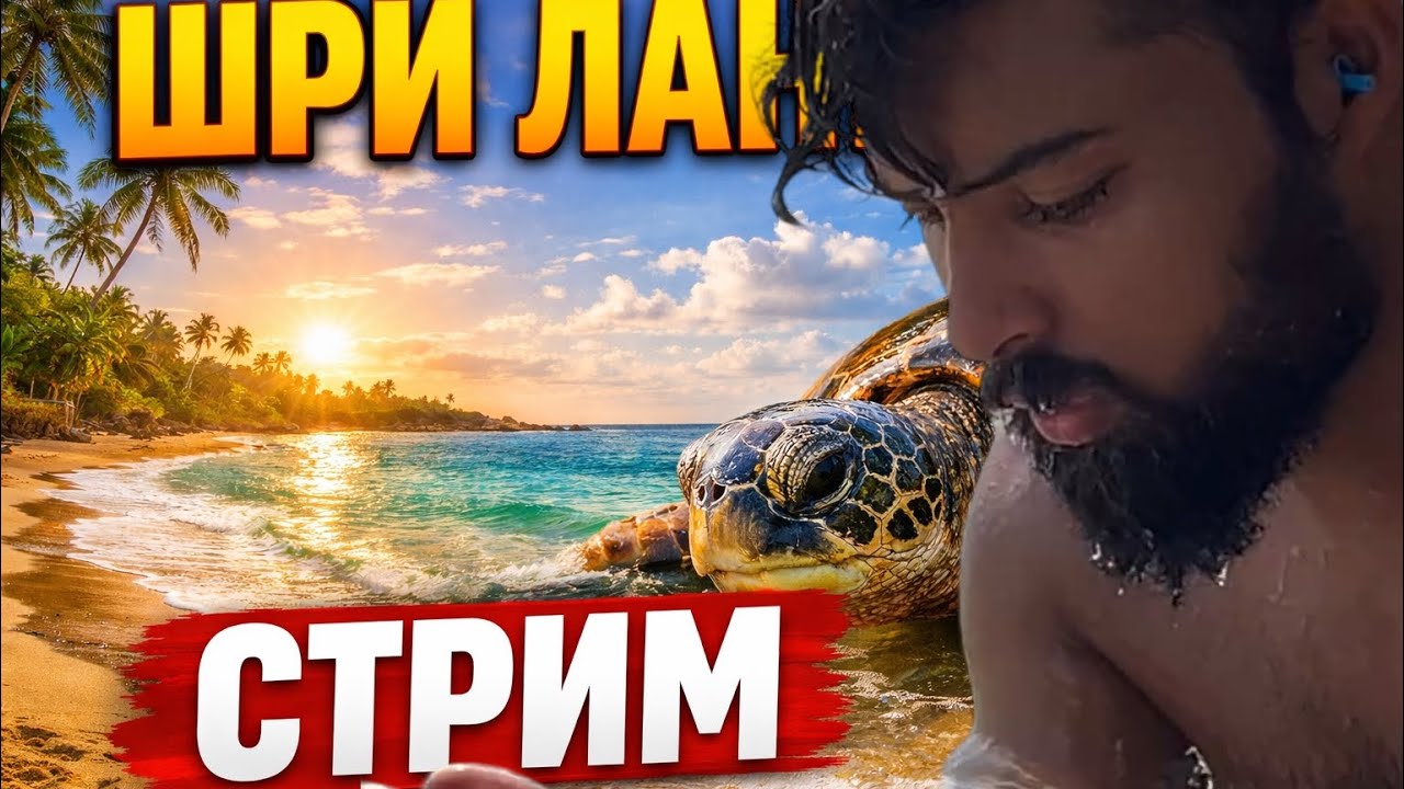 стрим: Шри- Ланка - любовь моя
