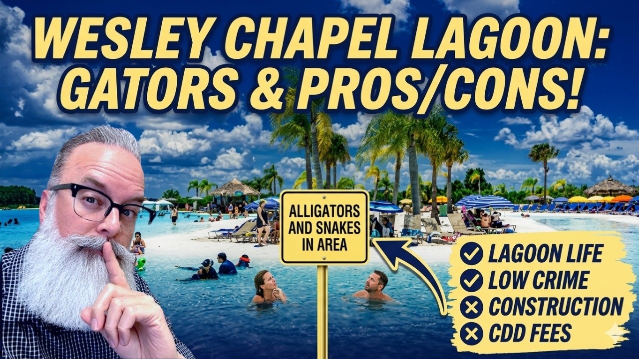 Don't Move to Wesley Chapel Florida Until You Watch This!