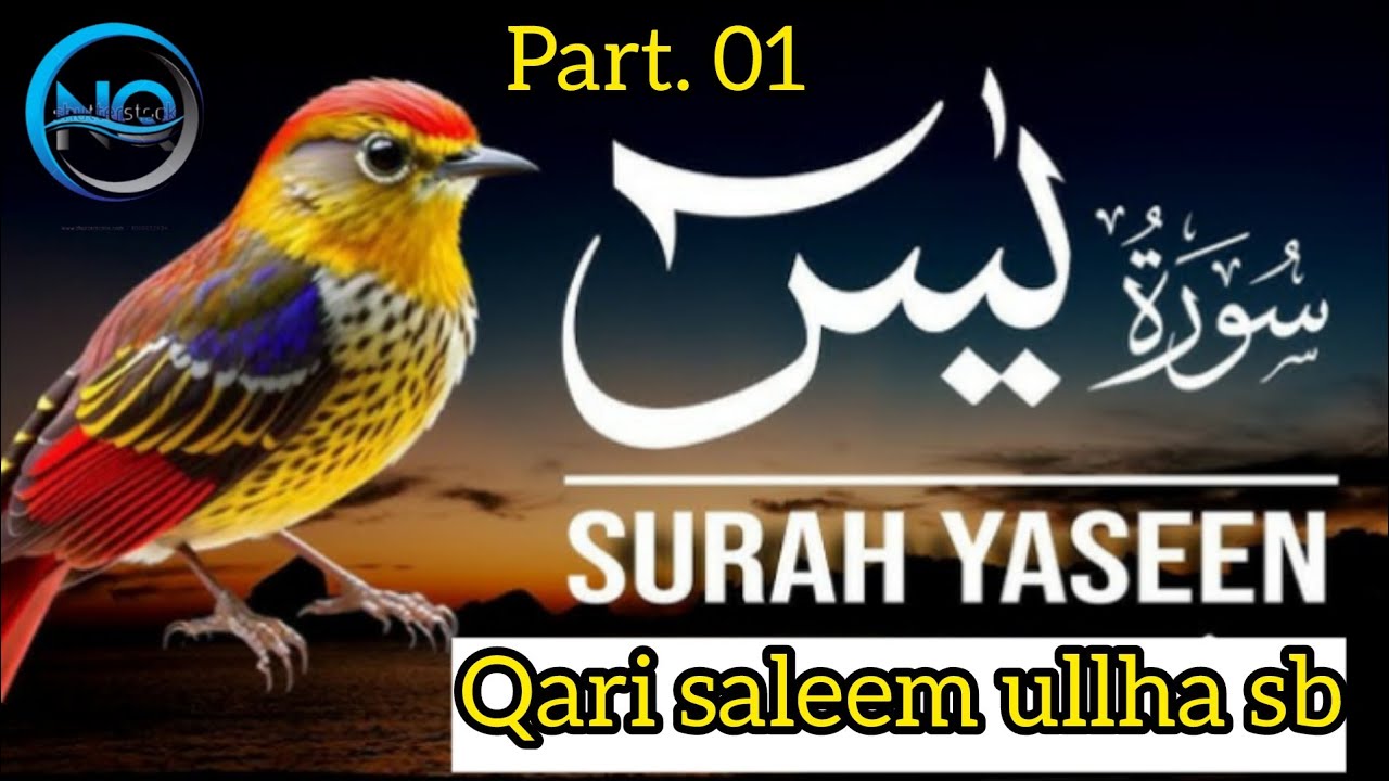 سورۃ یٰسین پارٹ 1 ایک تلاوت جو دل بدل دے،ایمان جگا دے،اور آنکھوں کو نم کر دے Surah Yaseen Recitation