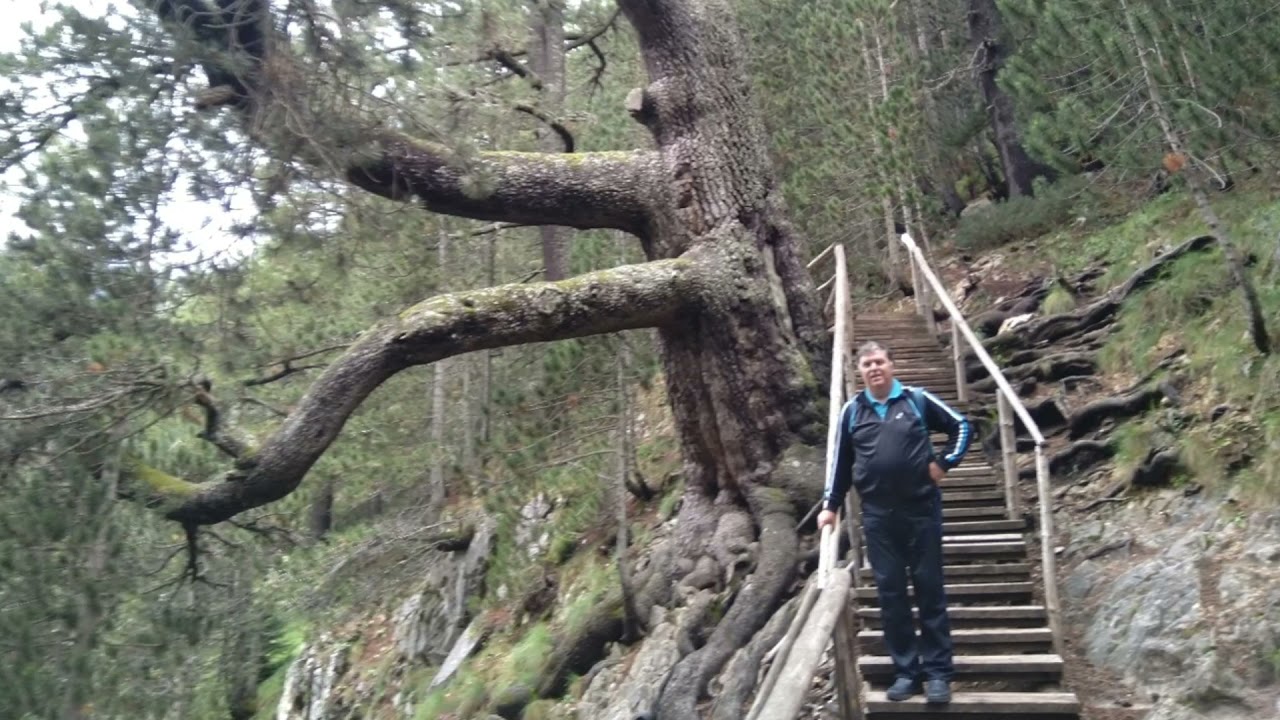 Байкушева мура
