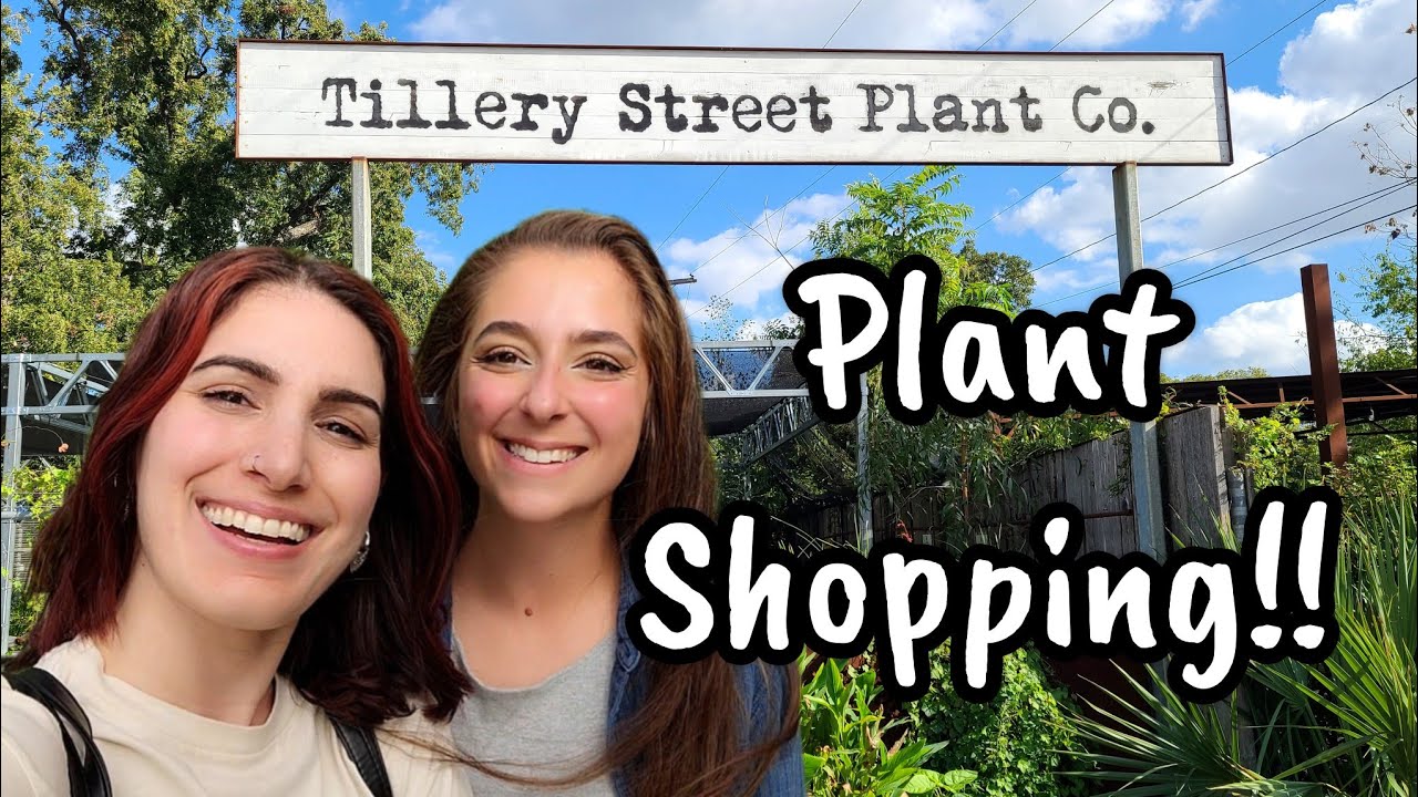 RARE PLANTS & VARIEGATED CACTUS!! Plant Shopping in Austin Texas with @acatinthegarden 🩷🌿