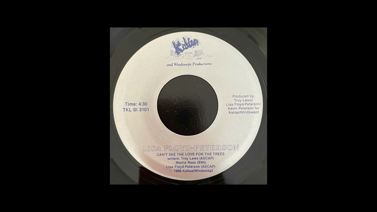 Lisa Floyd-Peterson - Can't See The Love For The Trees (7