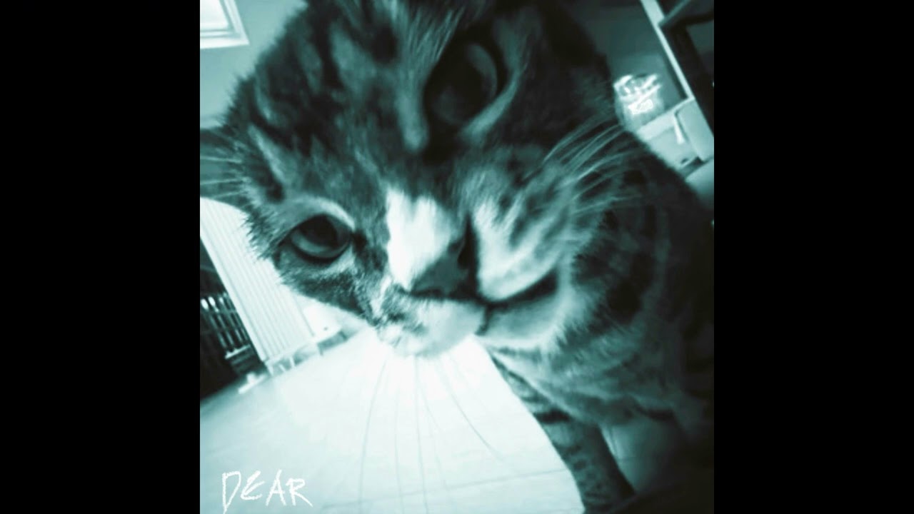 [Remix] P1Harmony - Pandemonium (Dear. remix)