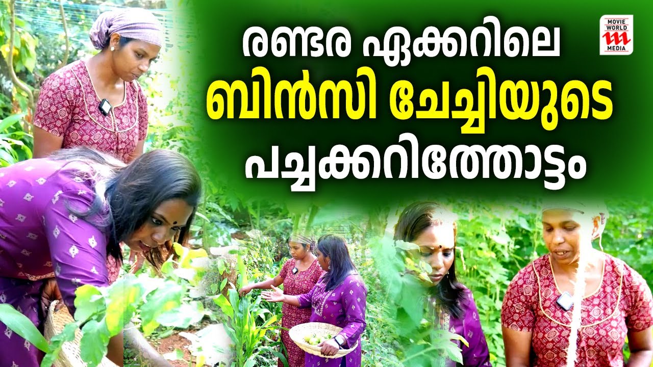 രണ്ടര ഏക്കറിലെ ബിൻസി ചേച്ചിയുടെ പച്ചക്കറിത്തോട്ടം| Bincy's Farm | Interview