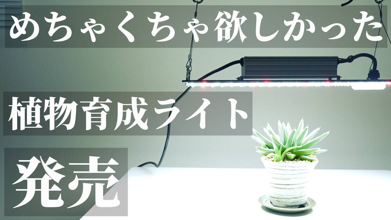 【コスパ最強】おすすめ！パネル型植物育成ライト「GL-BOARD1500PRO」「GL-BOARD3400PRO」「GL-BOARD6400EVO」レビュー！横長サイズでラックに最適！明るくて調光も！