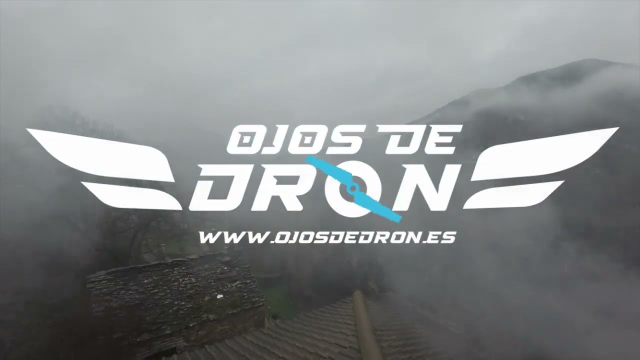 Bergua hoguera de San Babil 2025