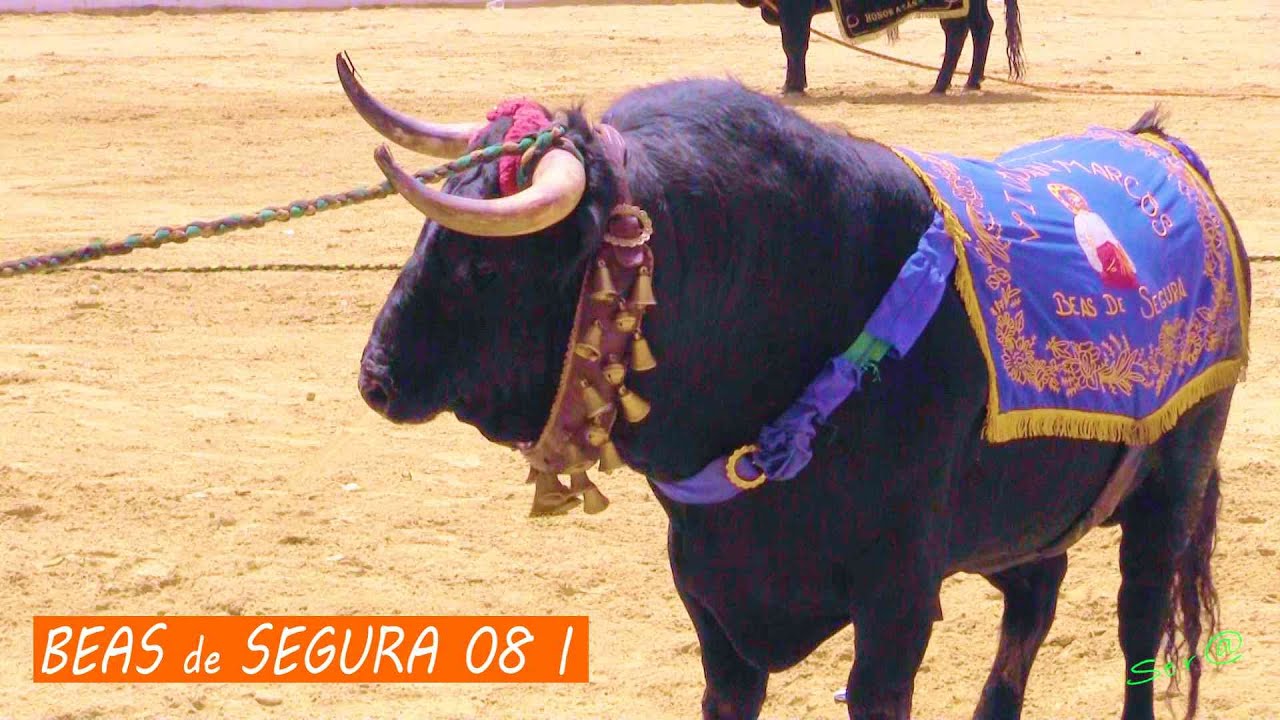 2025 Beas de Segura 08 INTEGRO  ESPECIAL San Marcos