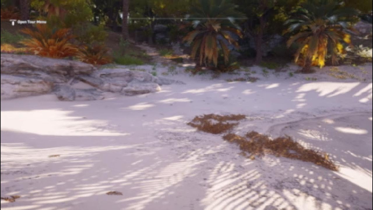 Assassin's creed beach walk first person view