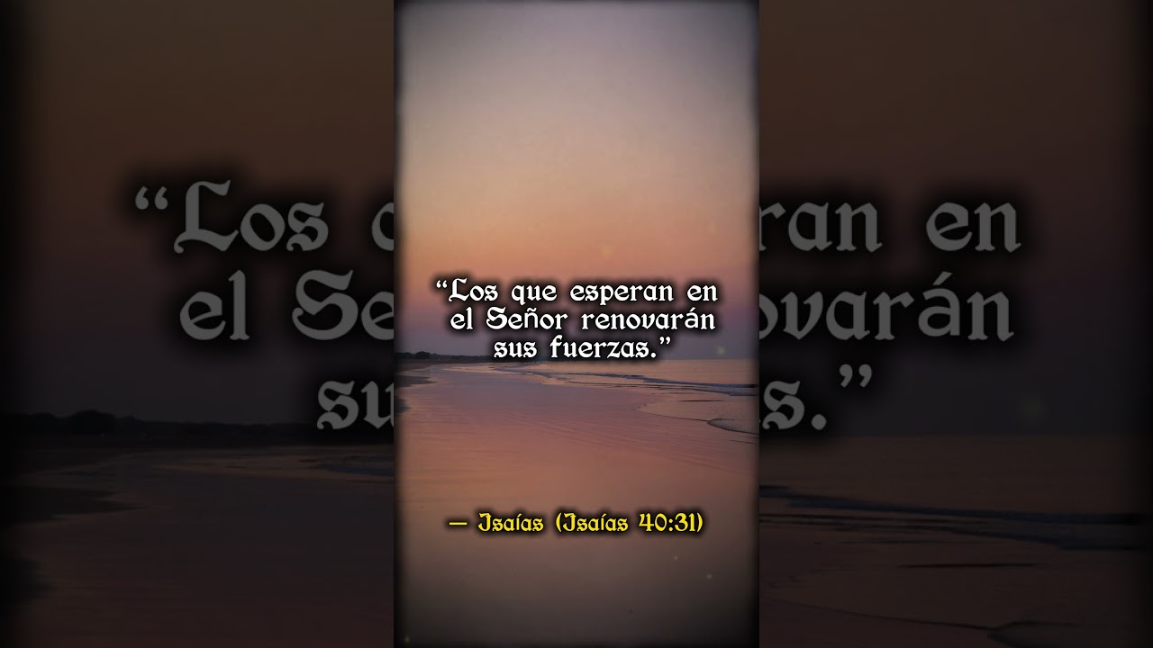 🕊️ Dios renovará tus fuerzas