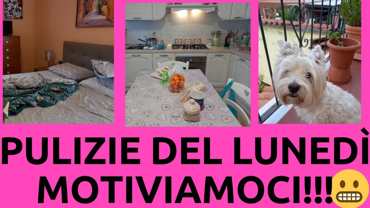 È lunedì MOTIVIAMOCI😱PULISCO DOVE C'È BISOGNO..COME LAVO IL ROTOMOP👍