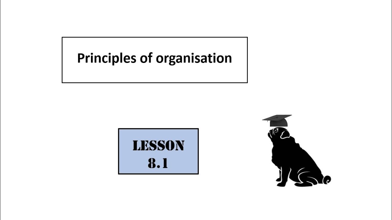 8.1  Principles of organisation