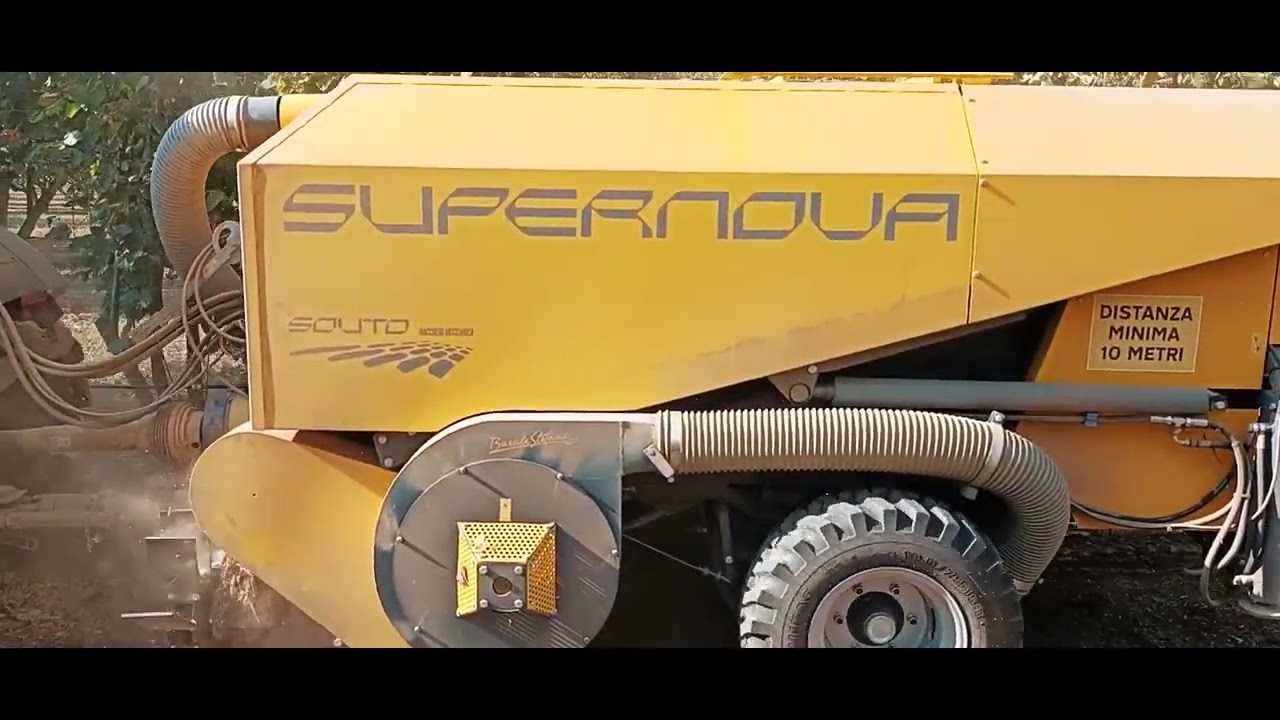 Raccolta nocciole Raccoglitrice Supernova hazelnuts harvester