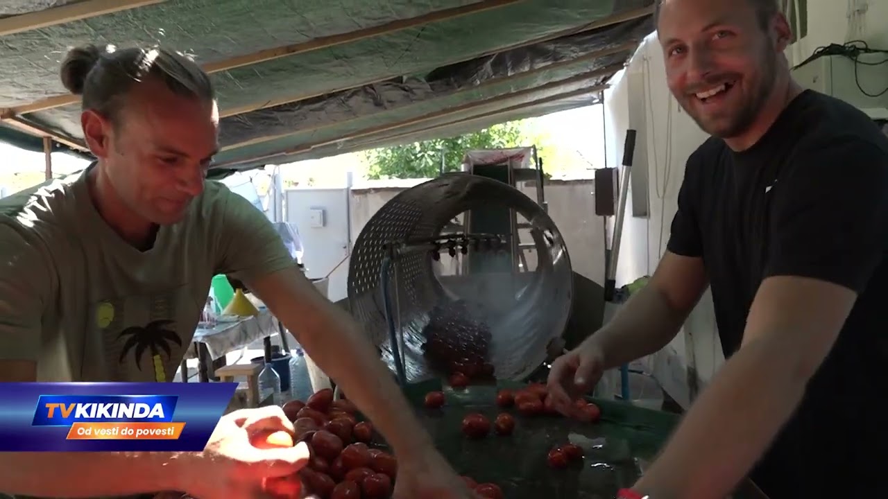 Domaći sok od paradajza najviše tražen među Kikinđanima
