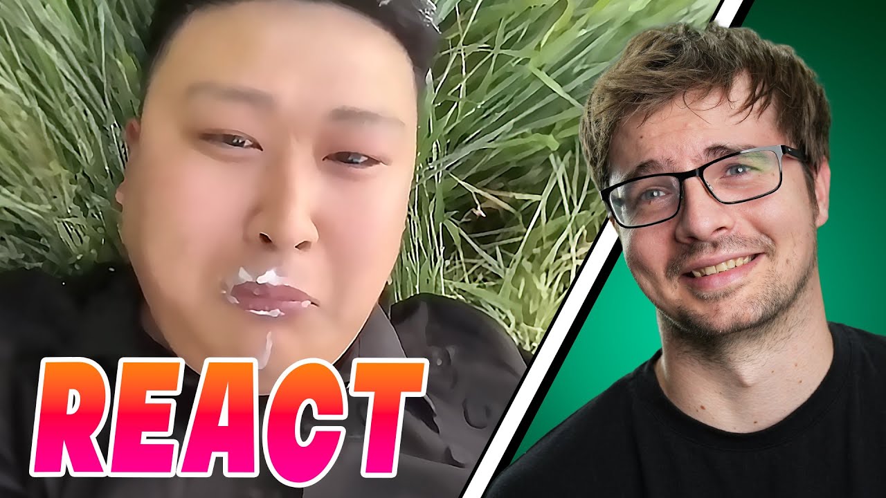 Diese TNTL war einfach viel zu LUSTIG! React: Random Memes 21