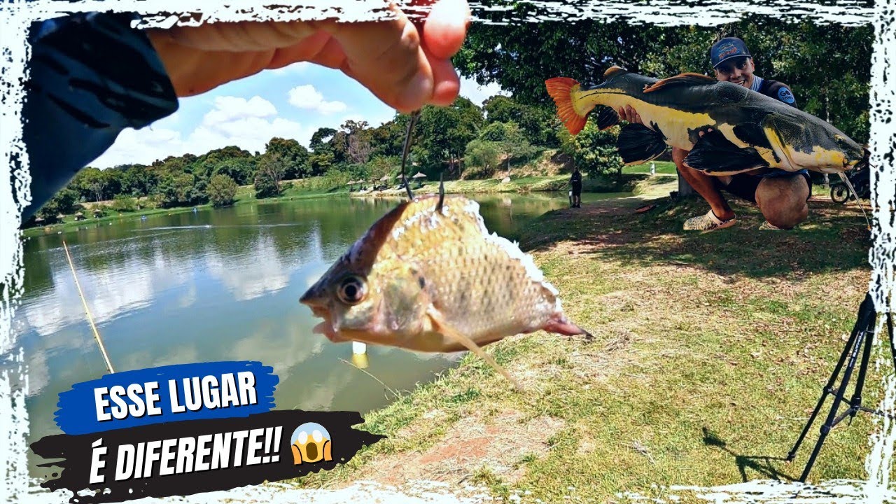 QUAL PEIXE SERÁ QUE FEZ ISSO?!? Pesqueiro tambury