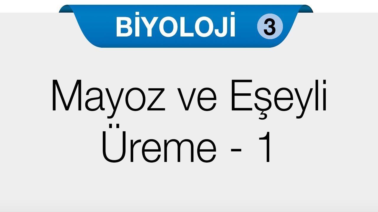 Üreme - Mayoz ve Eşeyli Üreme 1