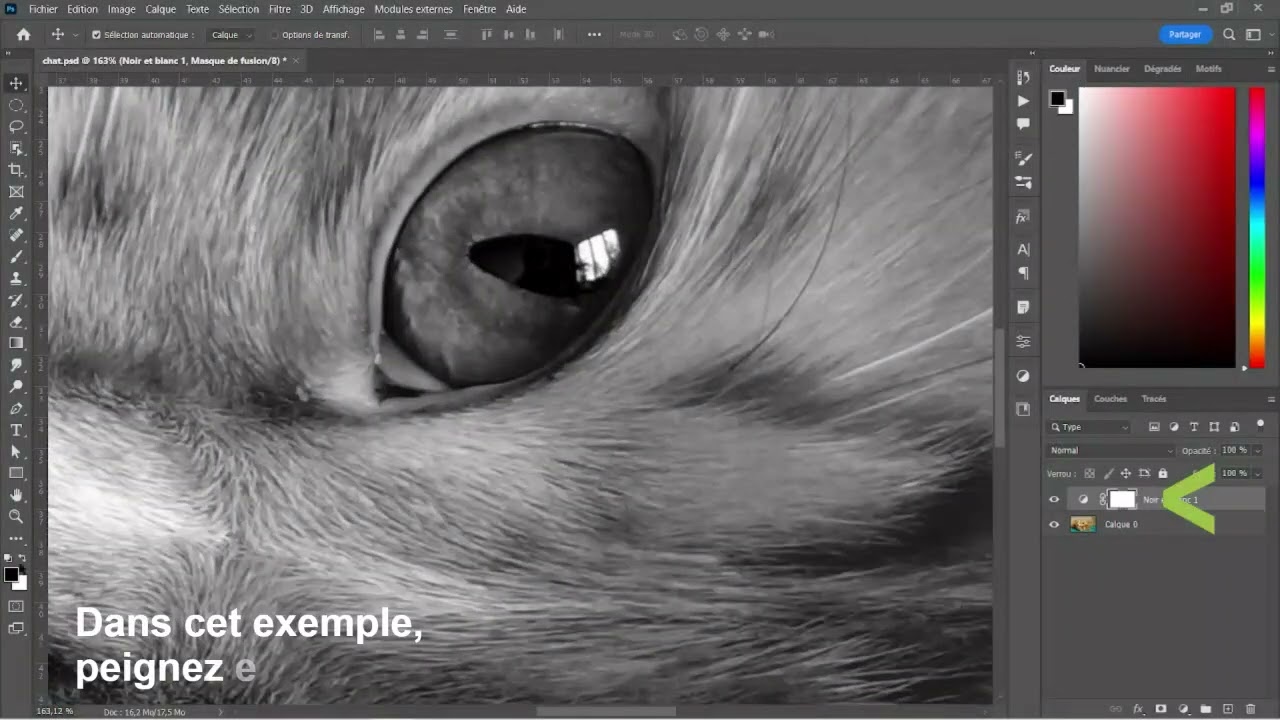 Comment faire une conversion de votre image en noir et blanc avec Photoshop.