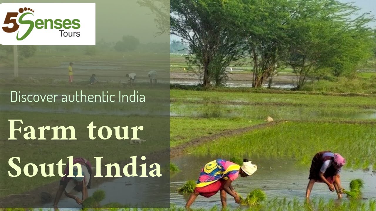 Farm tour South India video for experiential travel authentic India