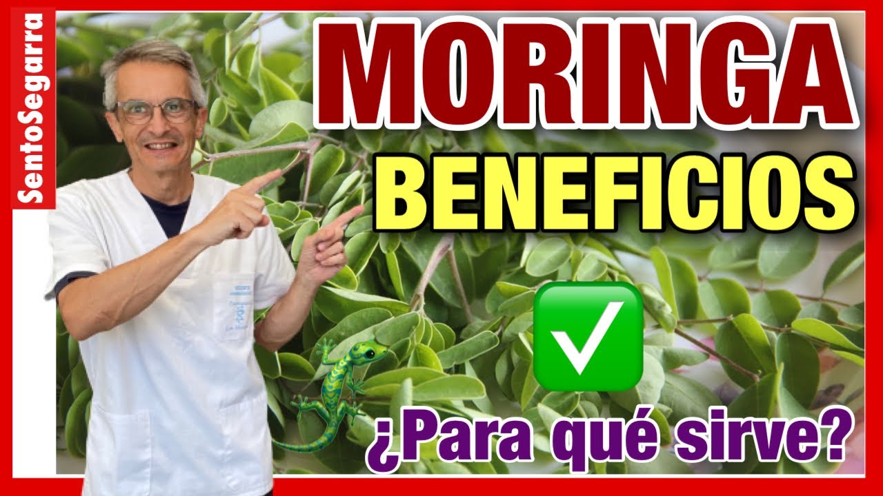 🌿 MORINGA BENEFICIOS ✅ &iquest;Para qu&eacute; sirve LA MORINGA? 🙄