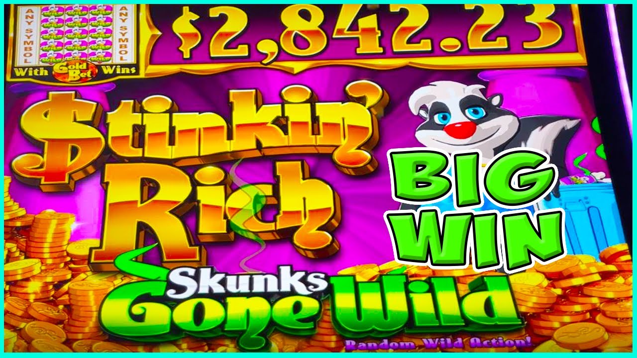 WE PUT ALL OUR MONEY IN TO STINKIN RICH SKUNKS GONE WILD & GOT A  BIG WIN