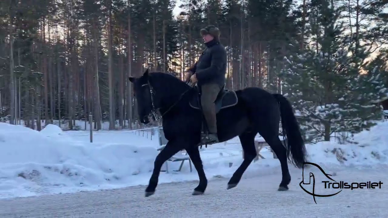 Skuldrene er løse! Pelle og Mandarb tester ut.