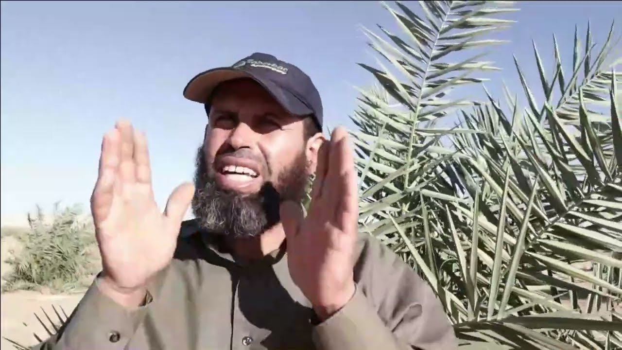 الجزء الثانى كيفية انشاء مزرعة نخيل فى الفرافره الوادى الجديد