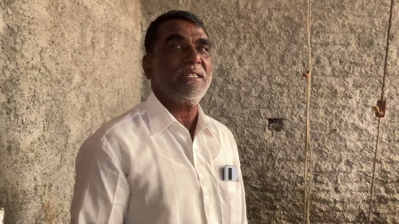 गावरान कोंबडी पालन फार्म करायचा आहे मग या ठिकाणी भेट द्या 🫵🏻फुल वीडियो #viral #trending 