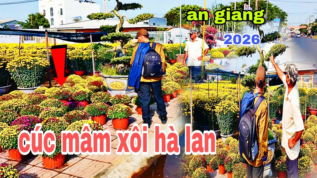 Hoa