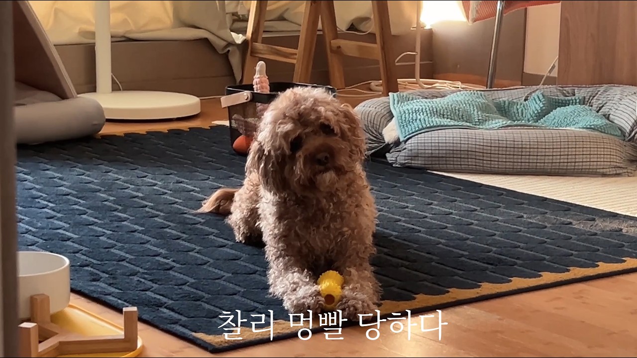 기분좋게 산책한 후 결말