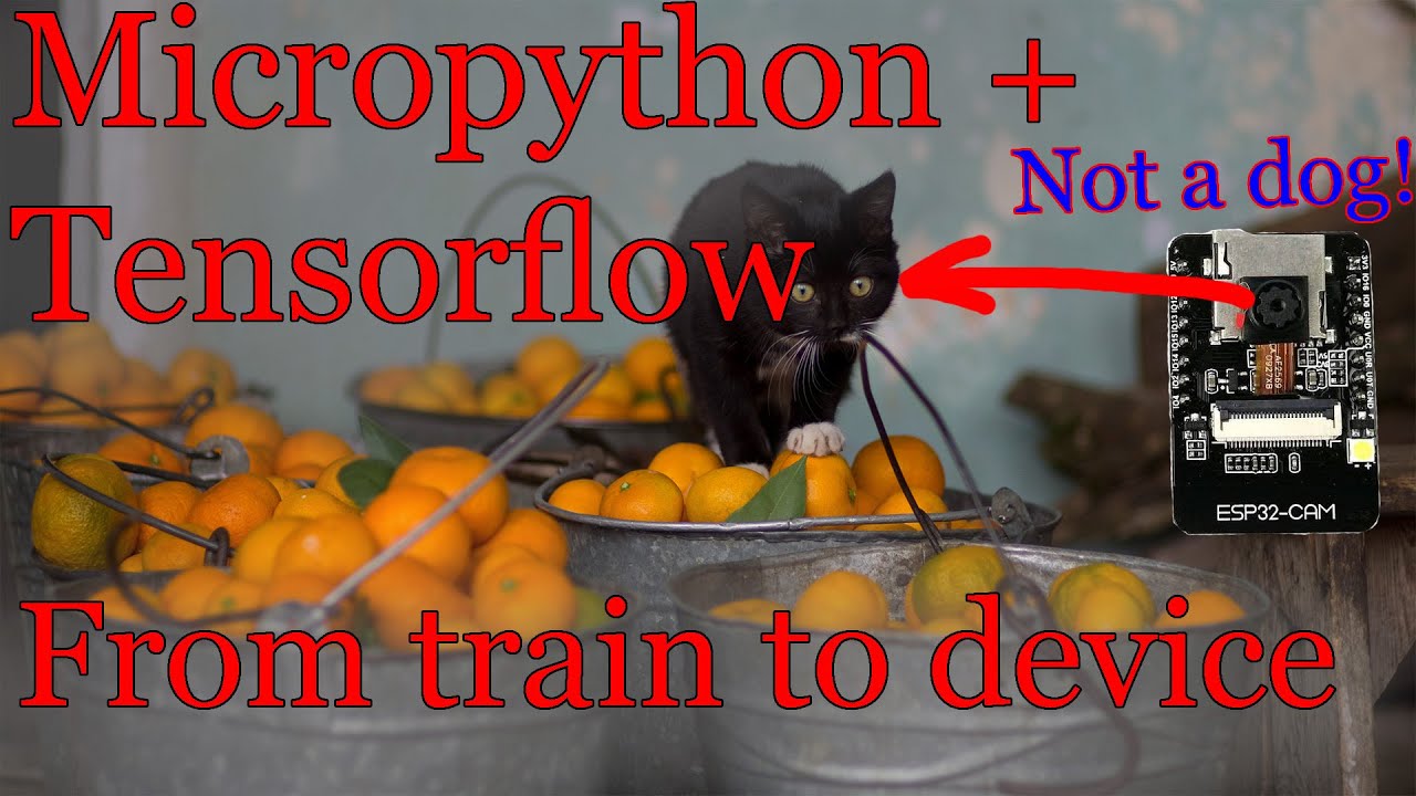 Dog detection on ESP32 - from train to deploy