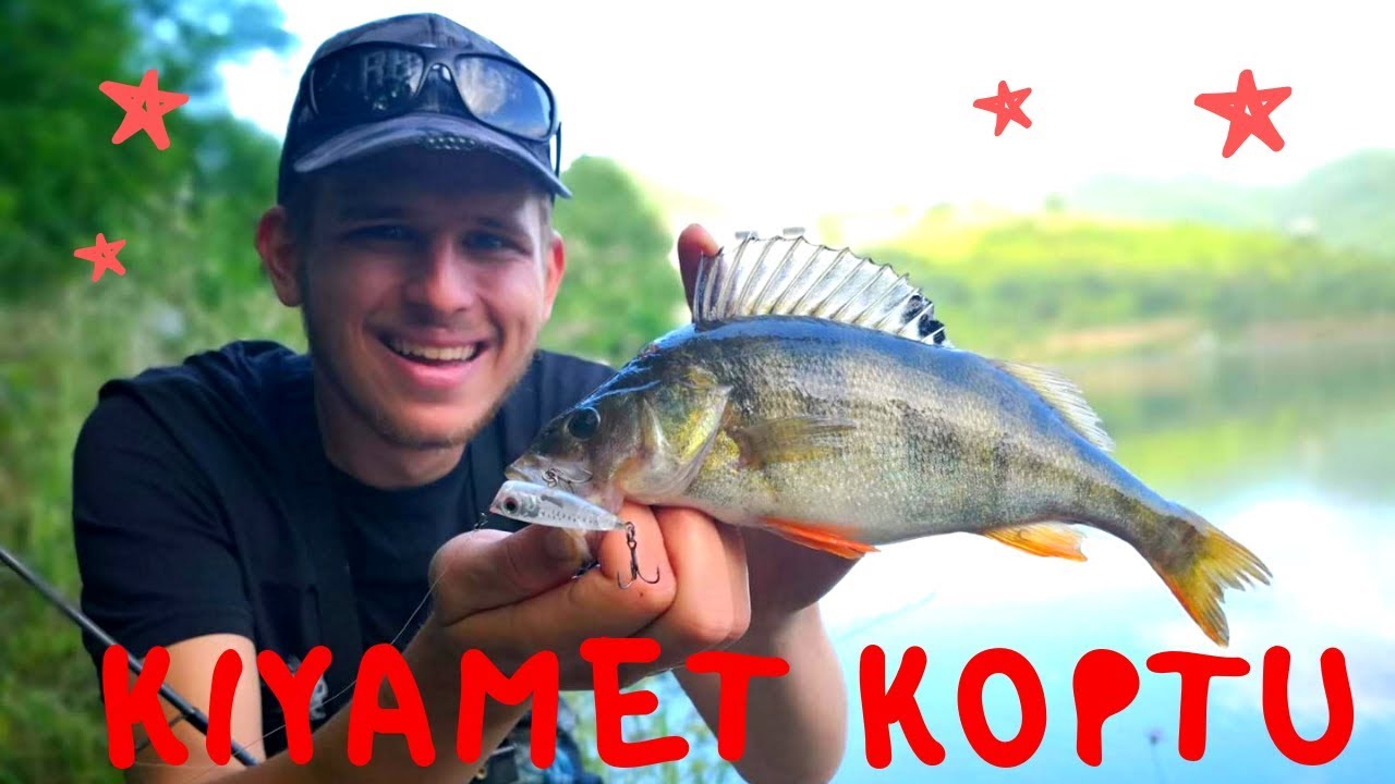 BU YEME 50 LEVREK BİRDEN SALDIRDI! Underwater Feeding Frenzy & Underwater Popper Strikes
