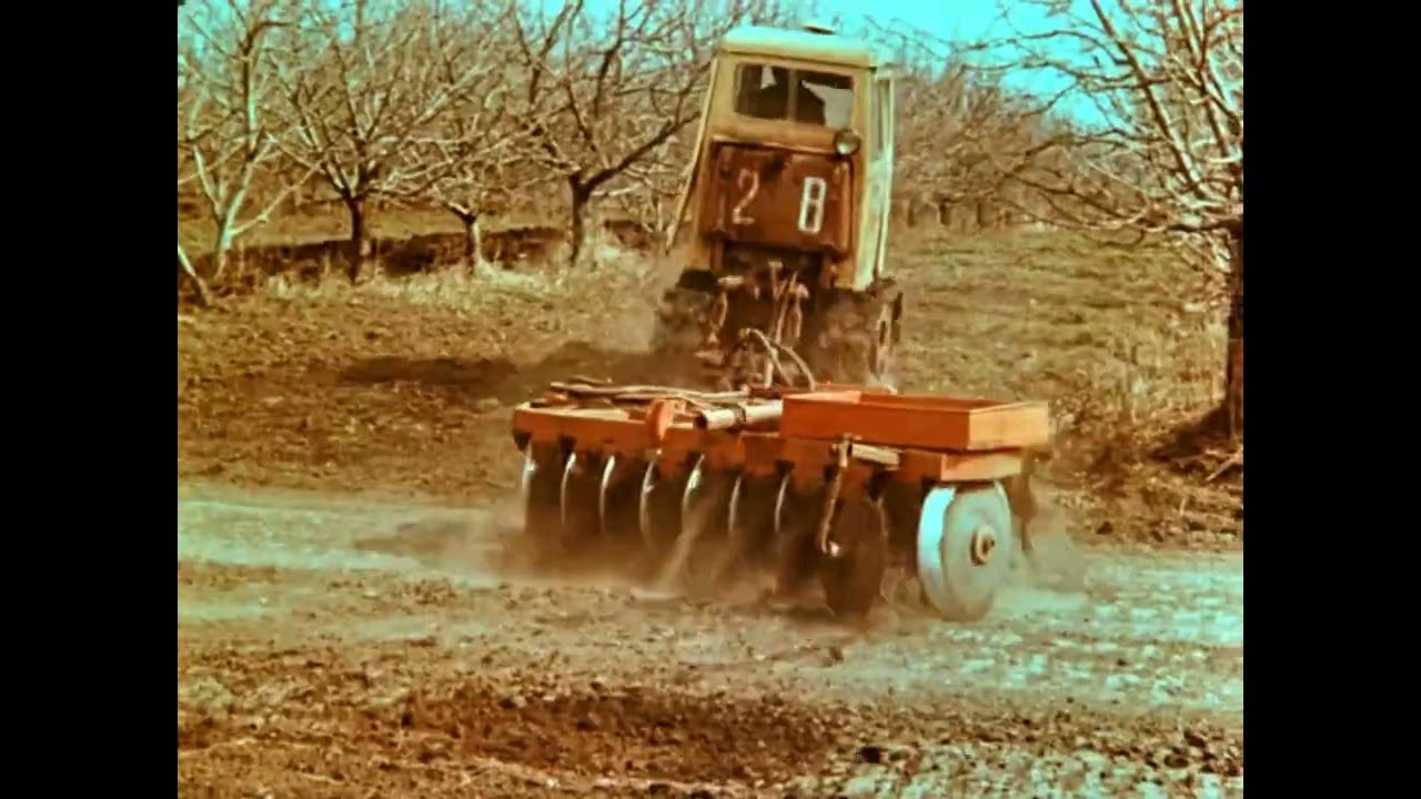Садоводство 1972 год ( найди отличия )