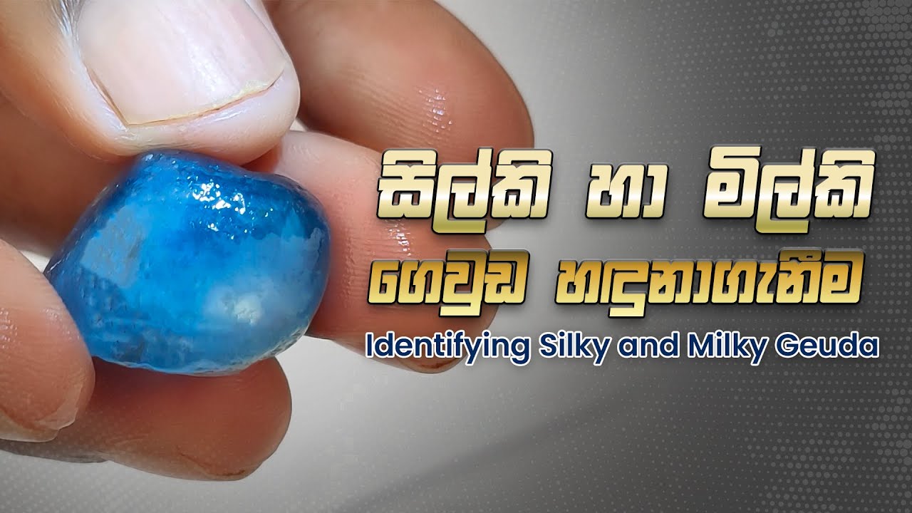 Identification of Silky and Milky Gewuda