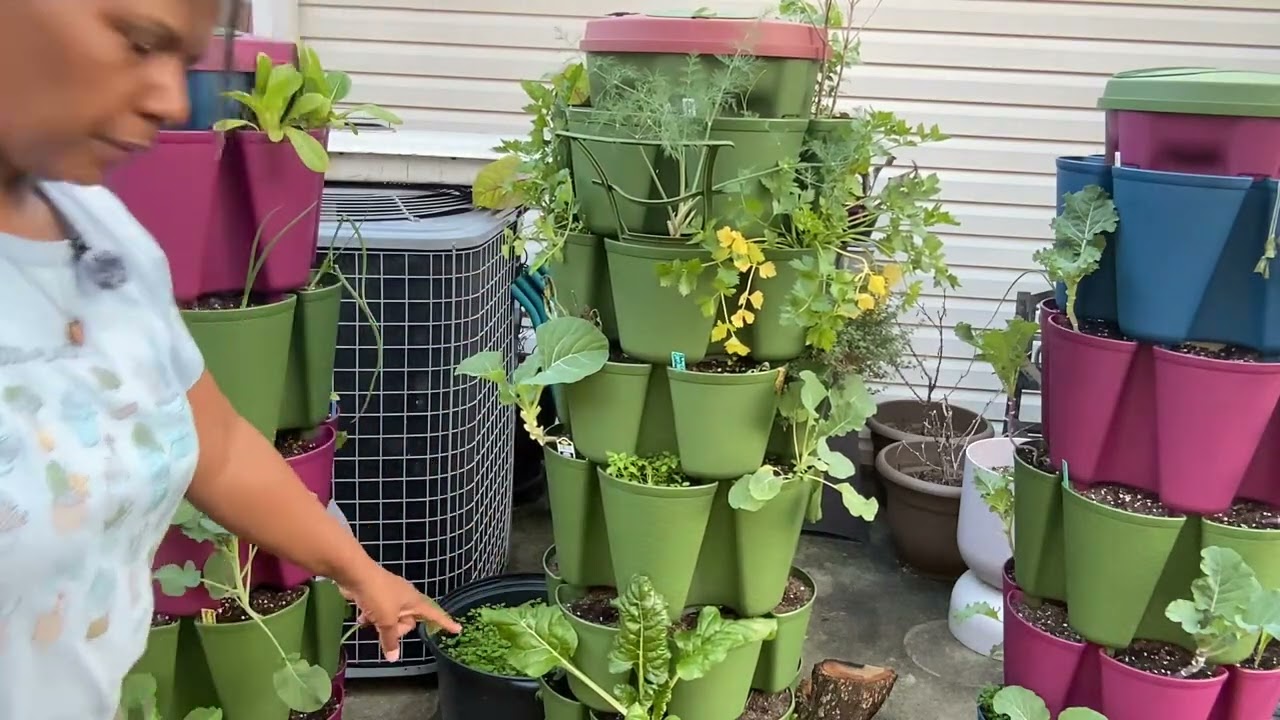 Come see how the garden did after the freeze!👁️👁️