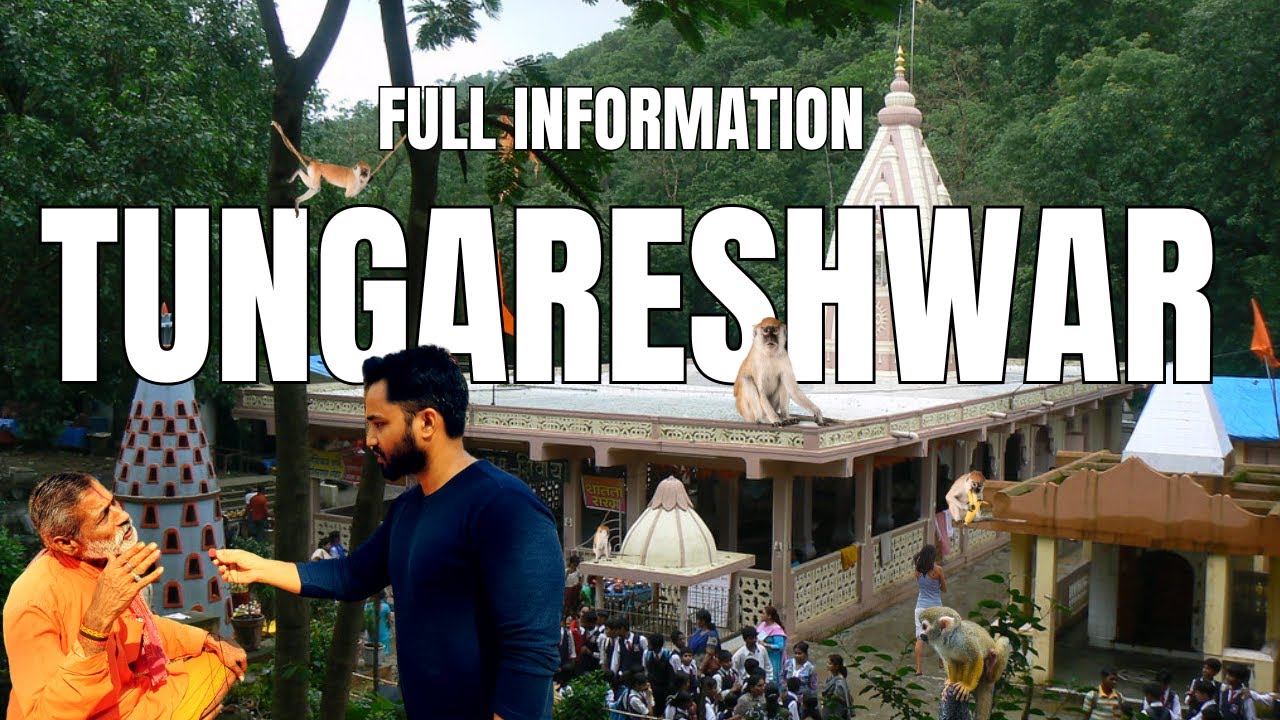 Tungareshwar Mandir Vasai | Tungareshwar waterfall | Tungareshwar Trek | Tungareshwar Vlog 2024