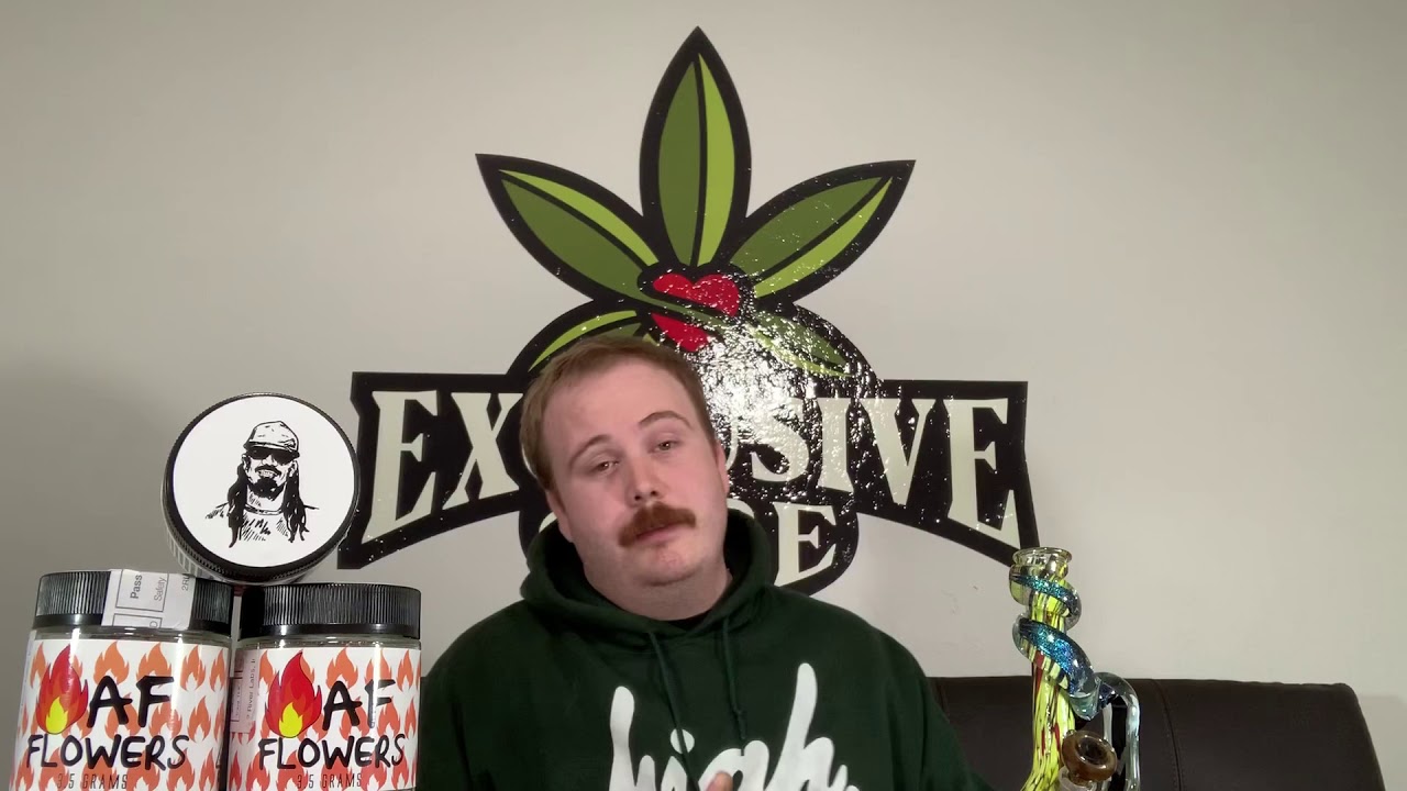 Exclusive Care &ldquo;Mimosa&rdquo; Strain Review - Fire AF Flowers