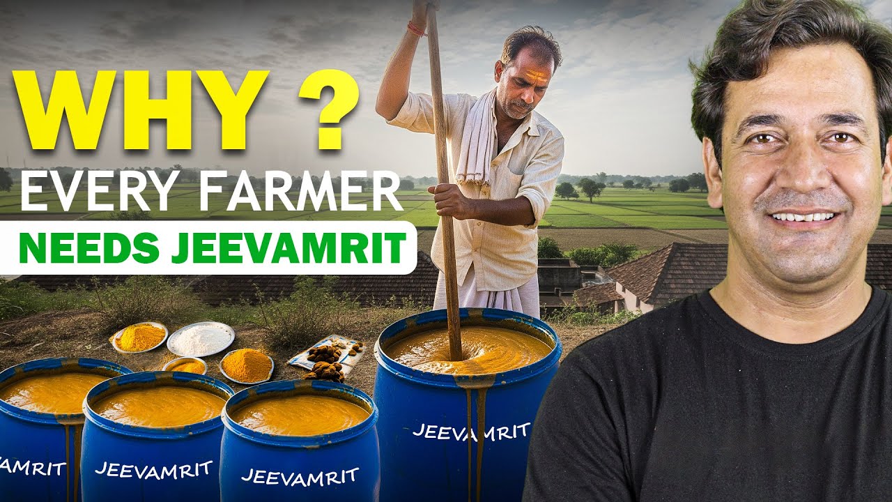 Jeevamrit: Har Kisaan ke Liye Sanjeevani! 🧪🌱 Ghar Par Banaye, Jaane Sahi Tarika.✅ / Jittu Chauhan