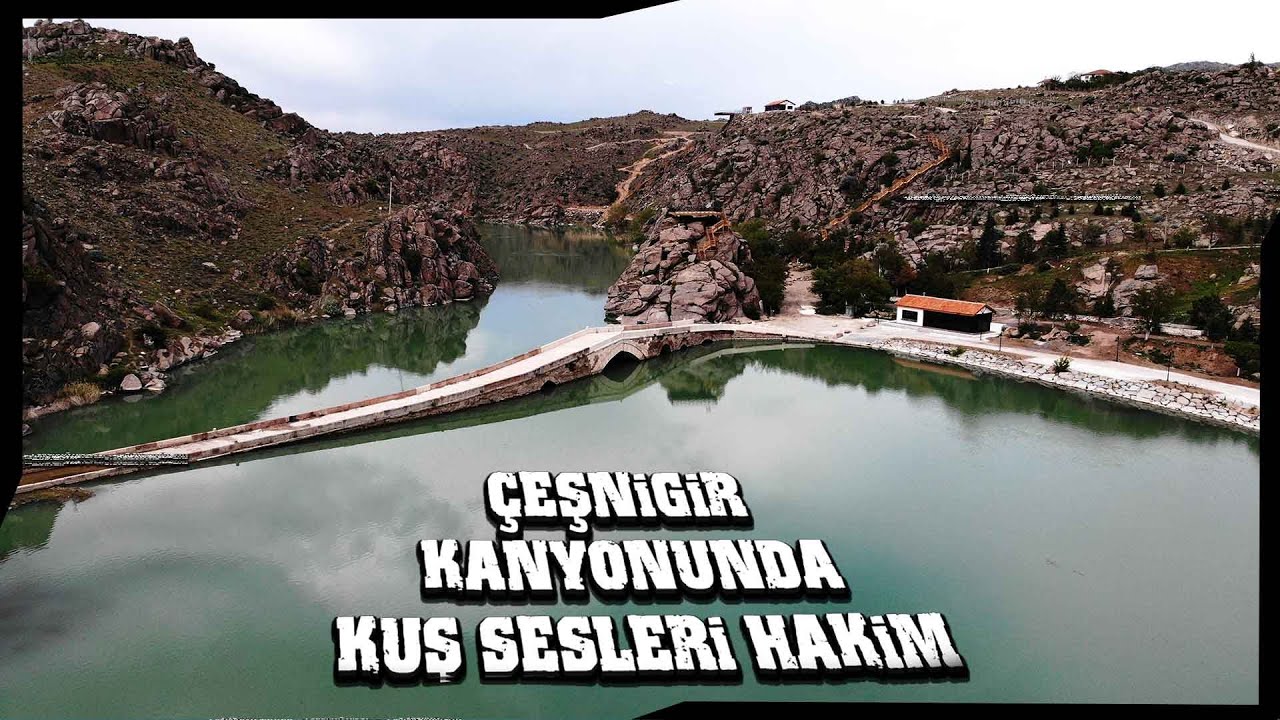 Selçuklu Yadigarı 'Çeşnigir' Sessizliğe Büründü